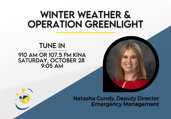 Natasha Cundy on KINA - Operation Greenlight - News Image